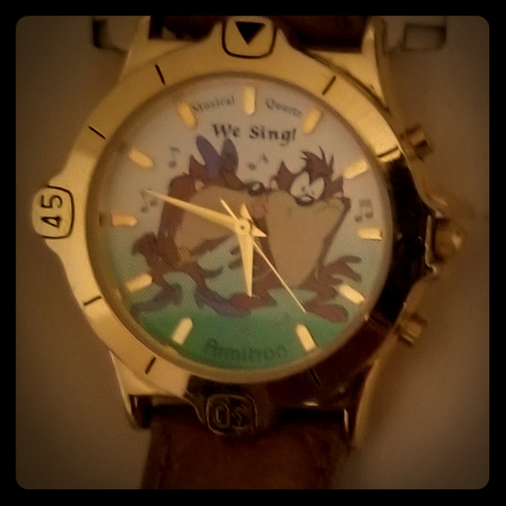 Looney Tones Armiton collection Taz watch